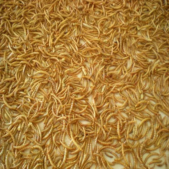 Fully Automatic Microwave Oven Tunnel Dryer Vacuum Food Dehydrator Drying Equipment